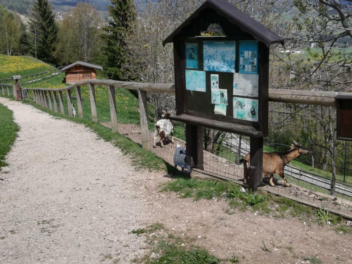 Appartamento Tiziana Val Di Fiemme Карано Екстер'єр фото